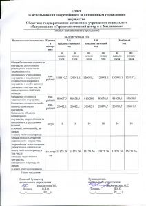 Отчет о деятельности ОГАУСО ГЦ ЗАБОТА в г. Ульяновске за 2018 г. (4)